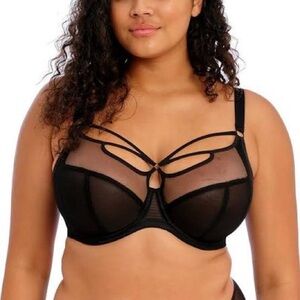 Elomi Sachu Black Plunge Bra - US 36H